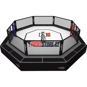 Octagon UFC
